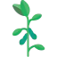 Soybean icon 64x64