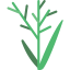 Grass icon 64x64