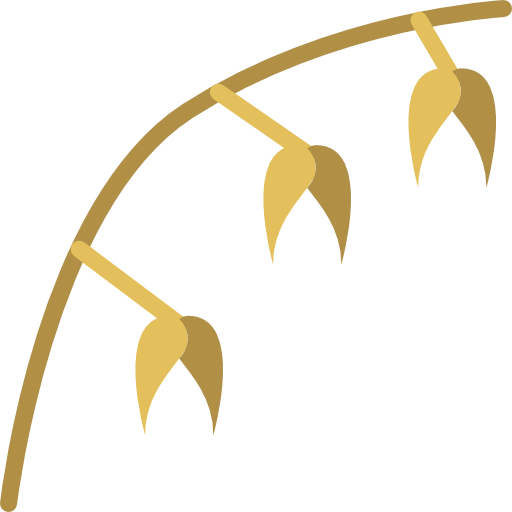 Oat icon