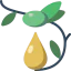 Olive icon 64x64