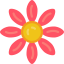 Asteraceae icon 64x64