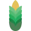 Wheat icon 64x64