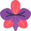 Orchidaceae 图标 64x64