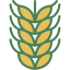 Barley 图标 64x64