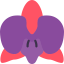 Orchidaceae 图标 64x64