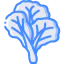 Cabbage Ikona 64x64