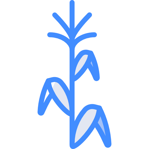 Corn icon