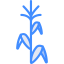 Corn icon 64x64