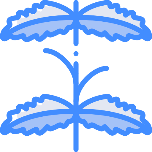 Mint 图标