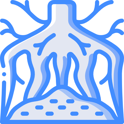 Root icon