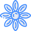 Asteraceae icon 64x64
