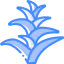 Bromeliaceae Symbol 64x64