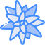 Bromeliaceae icon 64x64
