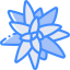 Бромелиевые иконка 64x64