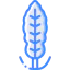 Перец иконка 64x64