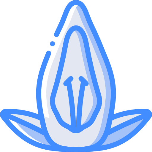 Acanthaceae 图标