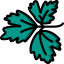 Parsley Parsley icon 64x64