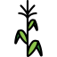 Corn Corn icon 64x64