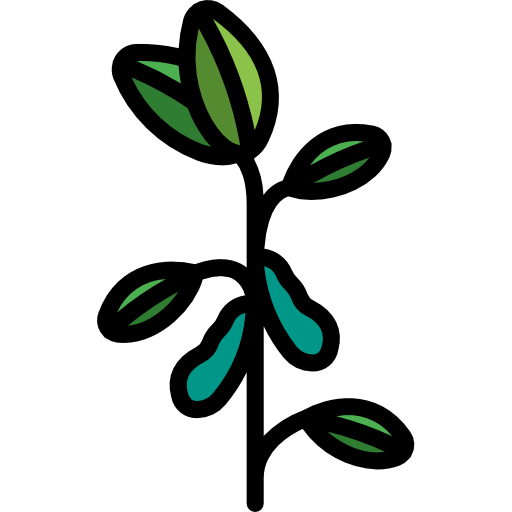 Soybean icon
