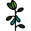 Soybean icon 64x64