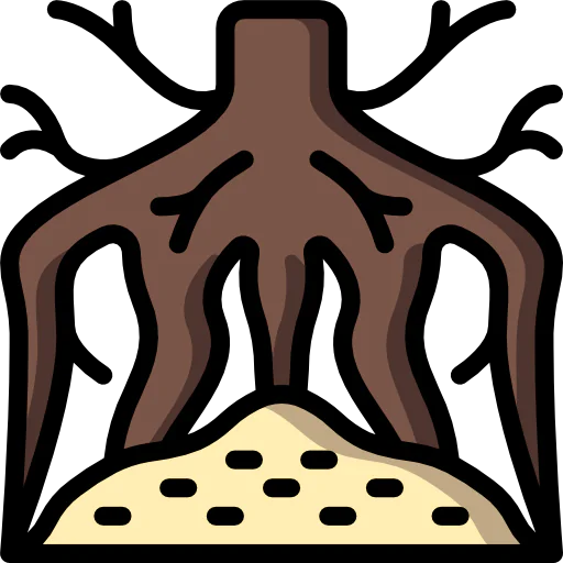 Root icon