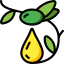 Olive icon 64x64