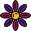 Asteraceae icon 64x64