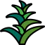 Bromeliaceae Symbol 64x64