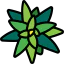Bromeliaceae biểu tượng 64x64
