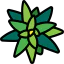 Bromeliaceae іконка 64x64