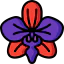 Orchidaceae icon 64x64
