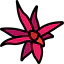Bromeliaceae іконка 64x64