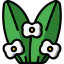 Spurge іконка 64x64