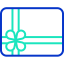 Voucher icône 64x64