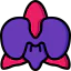Orchidaceae icon 64x64