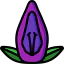Acanthaceae icon 64x64