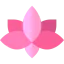 Lotus flower іконка 64x64