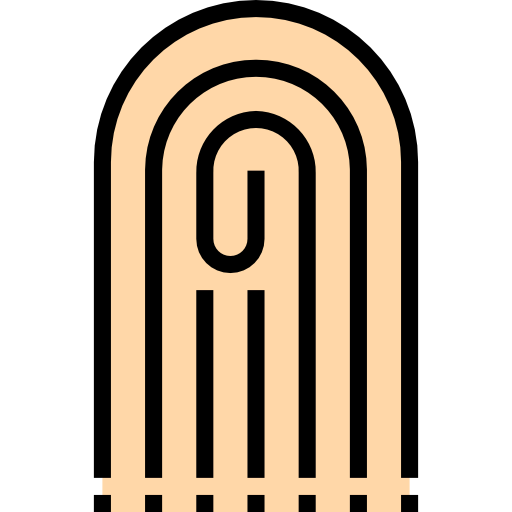 Fingerprint icon