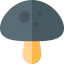Mushroom 图标 64x64