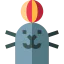 Seal icon 64x64