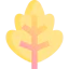 Leaf 图标 64x64