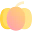 Pumpkin 图标 64x64