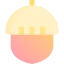 Acorn 图标 64x64