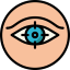 Vision icon 64x64