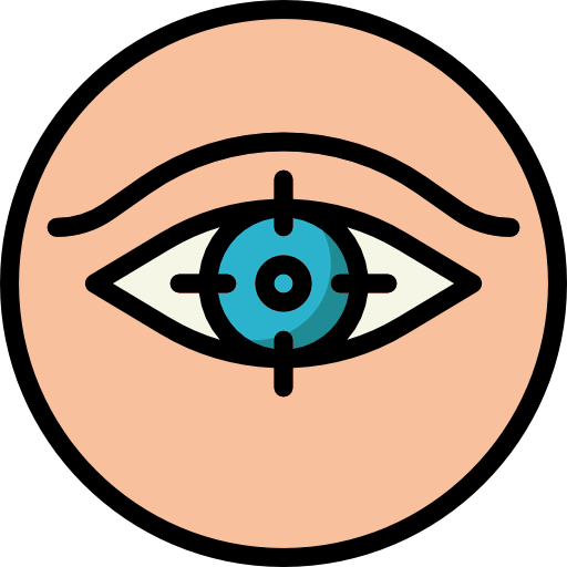 Vision icon