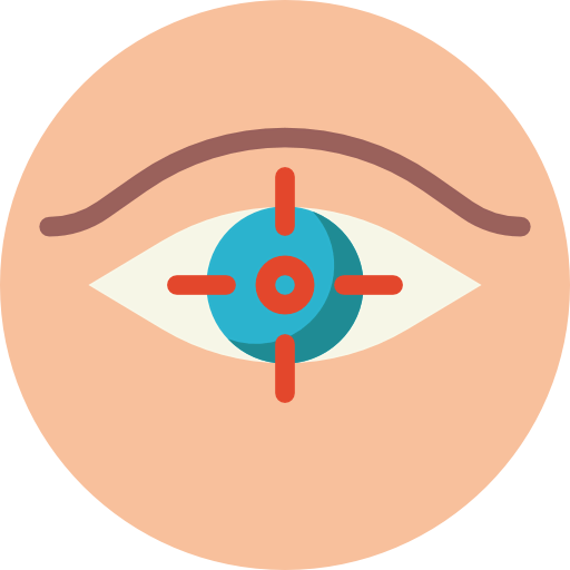 Vision icon