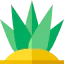 Bush 图标 64x64