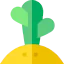 Cactus 图标 64x64