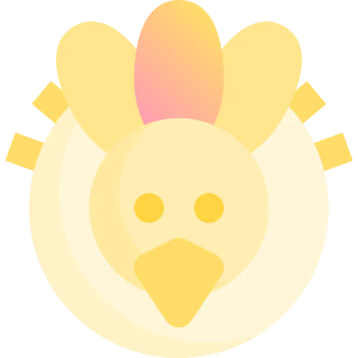 Turkey icon