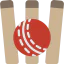Cricket icon 64x64